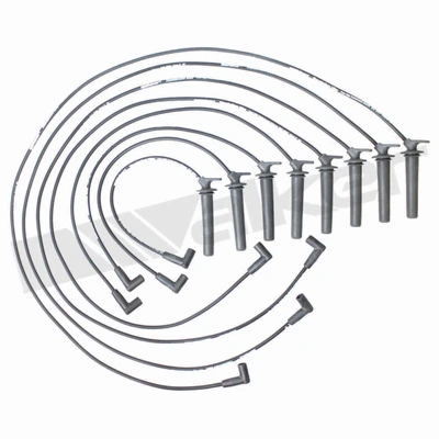 Walker Products 924-1477 Spark Plug Wire Set