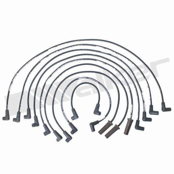 Walker Products 924-1422 Spark Plug Wire Set