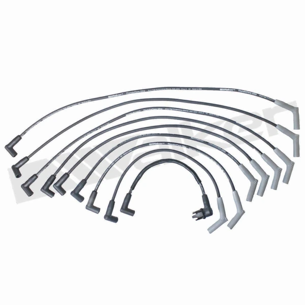 Walker Products 924-1604 Spark Plug Wire Set