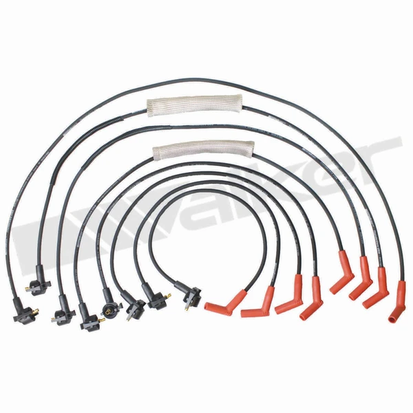Walker Products 924-1806 Spark Plug Wire Set