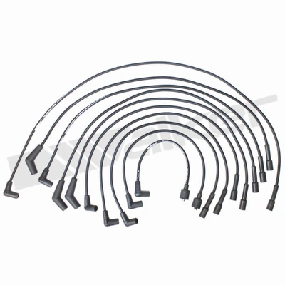 Walker Products 924-1823 Spark Plug Wire Set