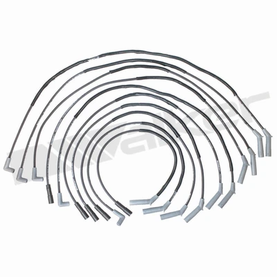 Walker Products 924-1838 Spark Plug Wire Set