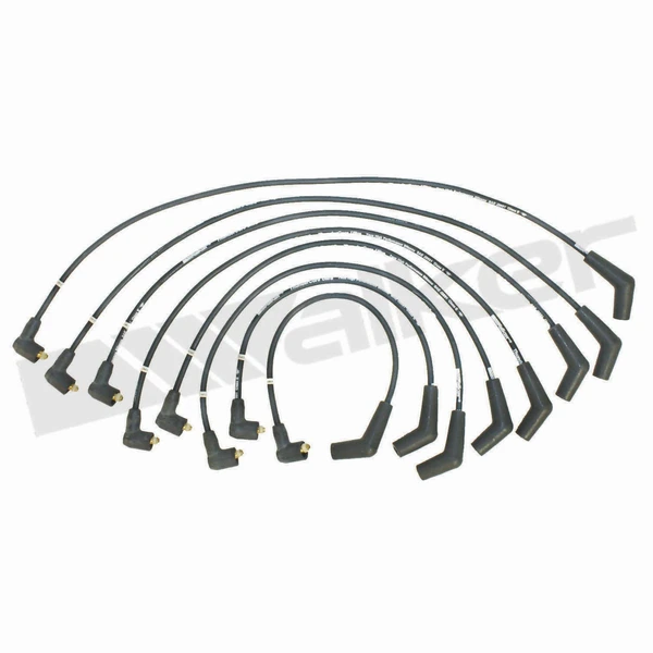 Walker Products 924-2042 Spark Plug Wire Set