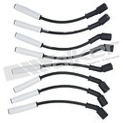 Walker Products 924-6010 Spark Plug Wire Set