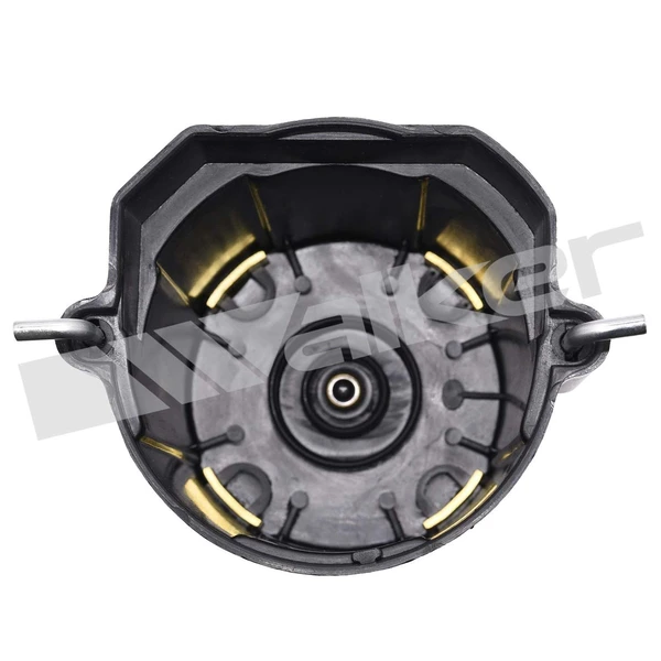 Walker Products 925-1007 Distributor Cap