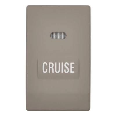 Standard CCA1171 Cruise Control Switch