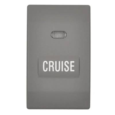 Standard CCA1175 Cruise Control Switch