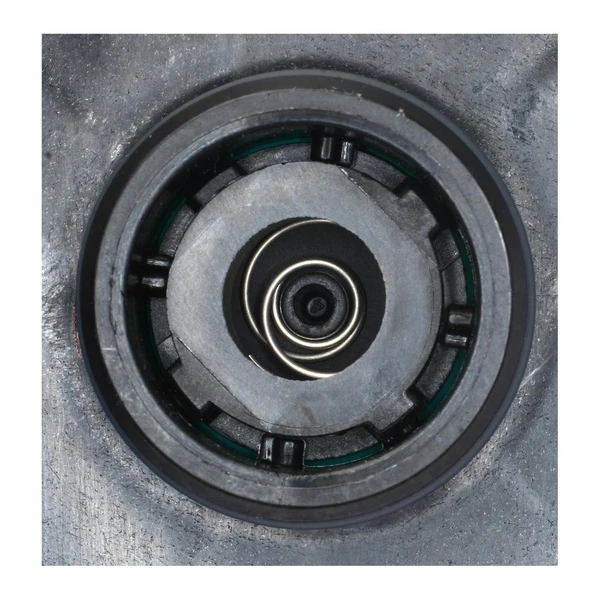 Standard CVS76 Vapor Canister Vent Solenoid