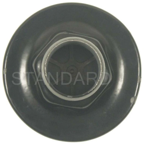 Standard AV56 Secondary Air Injection Pump Check Valve