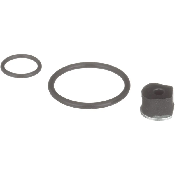Standard SK65 Fuel Injector Seal Kit
