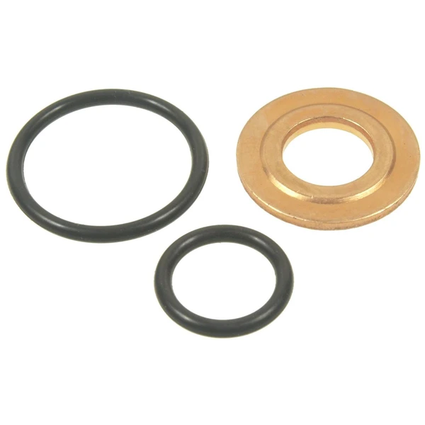 Standard SK66 Fuel Injector Seal Kit