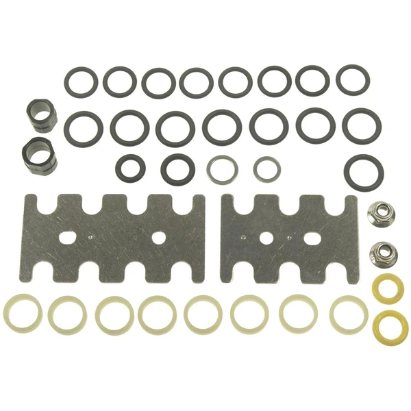 Standard SK69 Fuel Injector Seal Kit