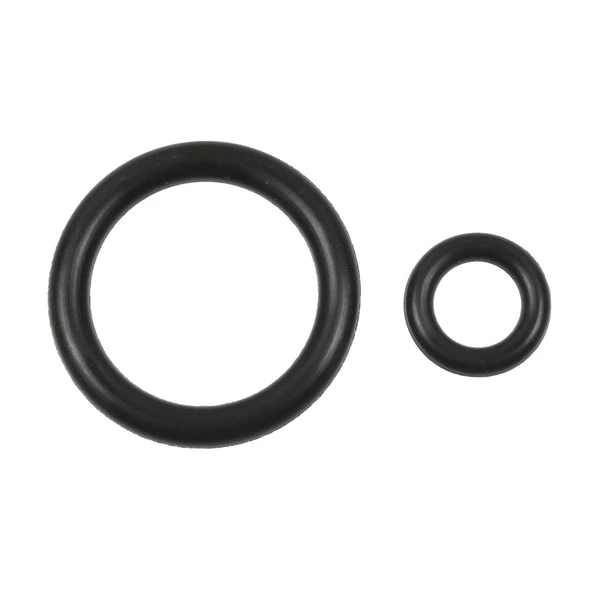 Standard SK111 Fuel Injector Seal Kit