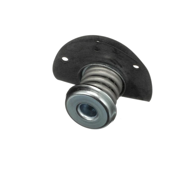 Standard PR10 Fuel Injection Pressure Regulator