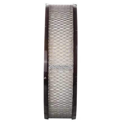 Premium Guard PA4 Engine Air Filter