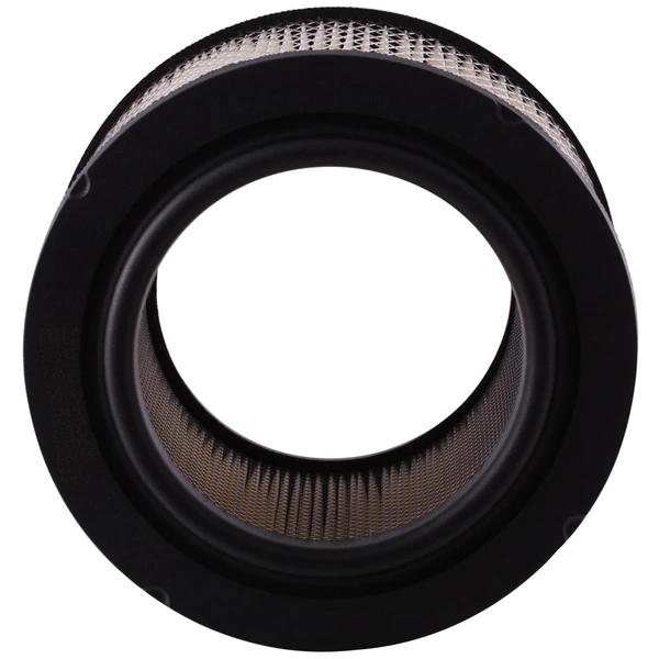 Premium Guard PA4473 Engine Air Filter