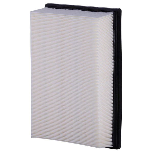 Premium Guard PA4691 Engine Air Filter