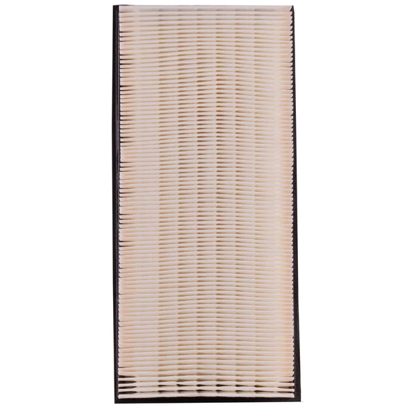 Premium Guard PA4859 Engine Air Filter