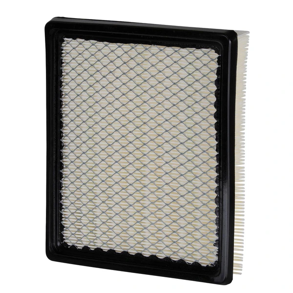 Premium Guard PA5396 Engine Air Filter