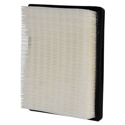 Premium Guard PA5396 Engine Air Filter