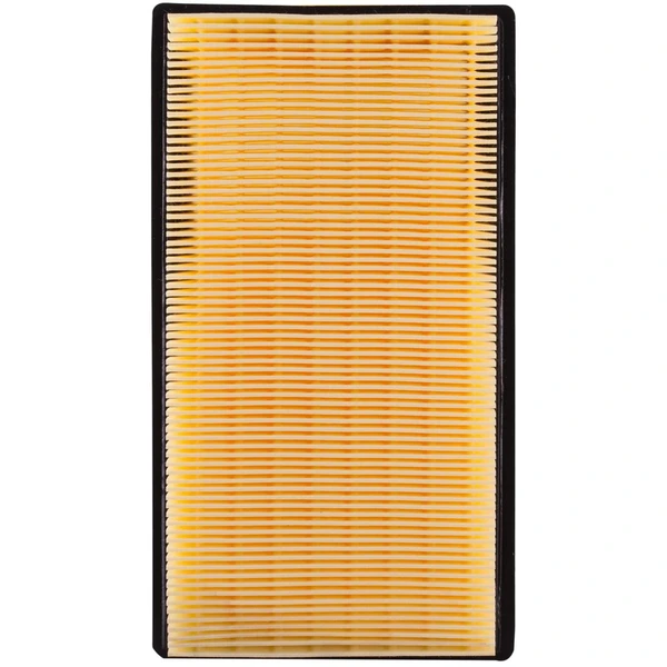 Premium Guard PA5421 Engine Air Filter