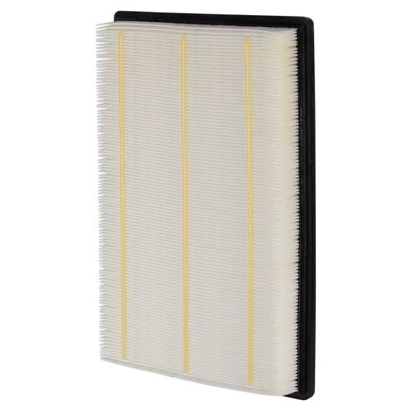 Premium Guard PA5462 Engine Air Filter