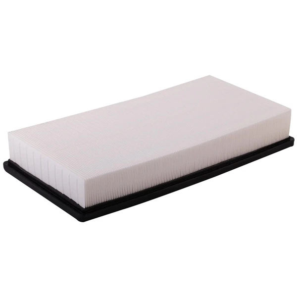 Premium Guard PA5546 Engine Air Filter
