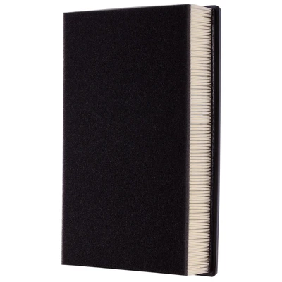 Premium Guard PA5558 Engine Air Filter