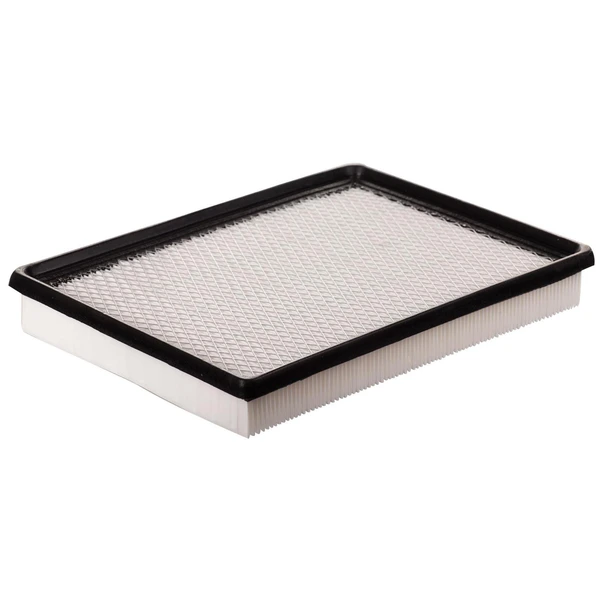 Premium Guard PA5560 Engine Air Filter