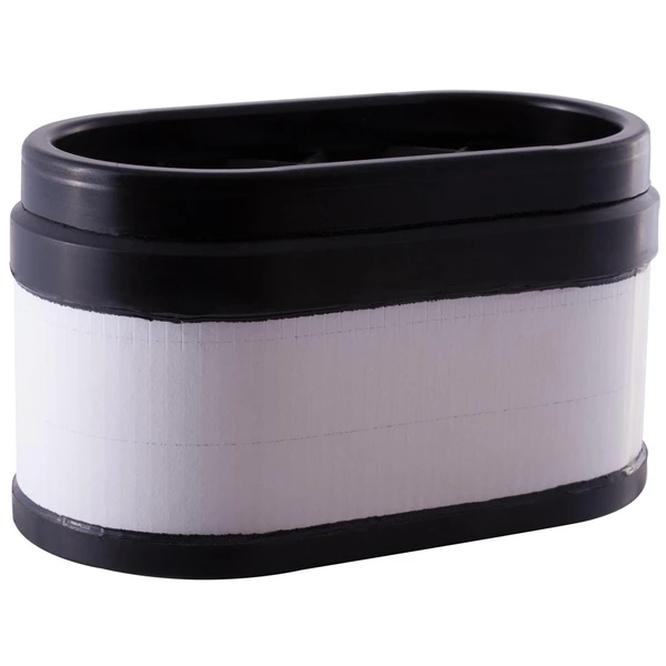 Premium Guard PA5696 Engine Air Filter