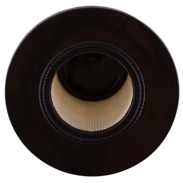 Premium Guard PA6067 Engine Air Filter