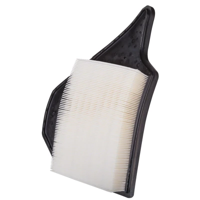 Premium Guard PA6165 Engine Air Filter