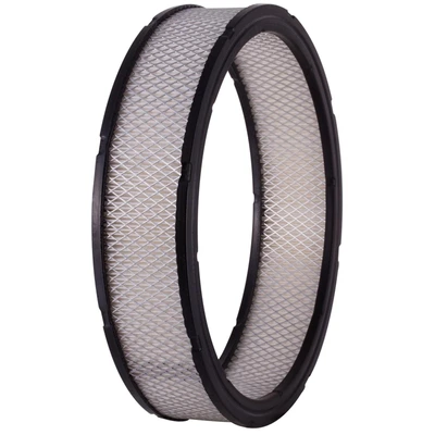 Premium Guard PA74 Engine Air Filter