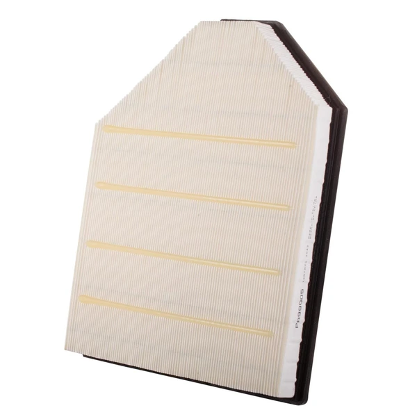 Premium Guard PA99005 Engine Air Filter