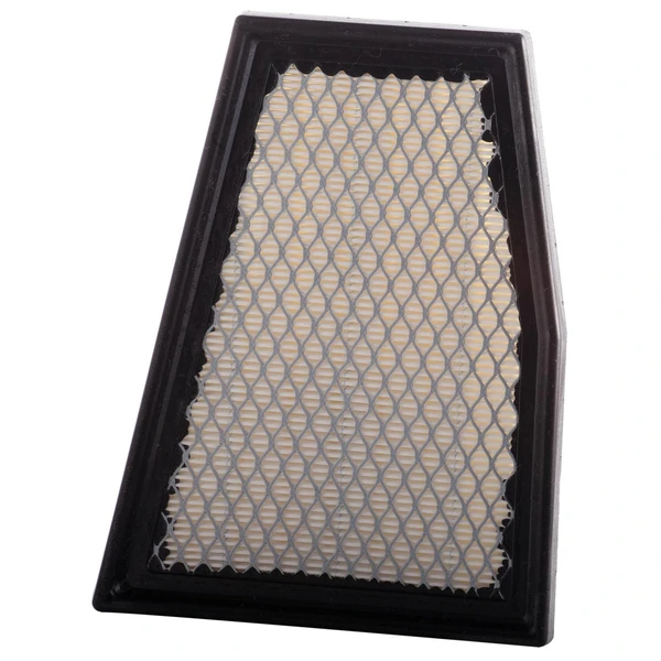Premium Guard PA99144 Engine Air Filter, Right Passenger Side