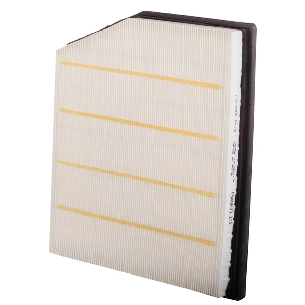 Premium Guard PA99113 Engine Air Filter