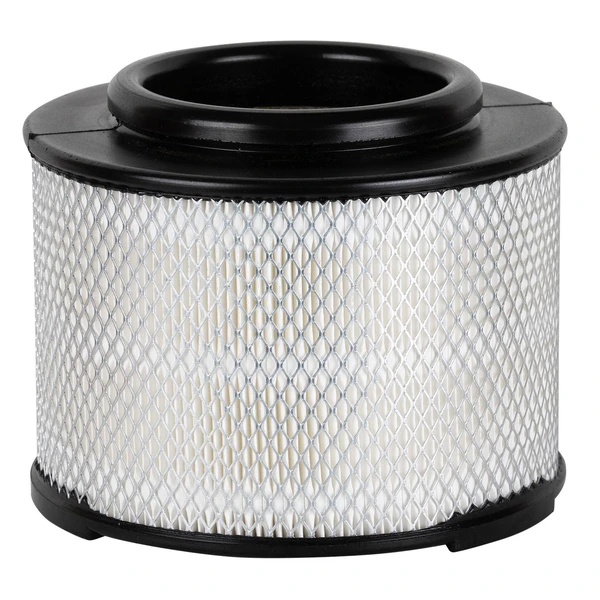 Premium Guard PA99256 Engine Air Filter