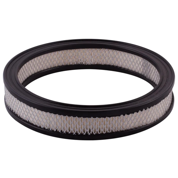 Premium Guard PA124 Engine Air Filter