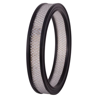 Premium Guard PA124 Engine Air Filter