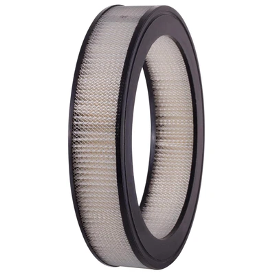 Premium Guard PA16 Engine Air Filter