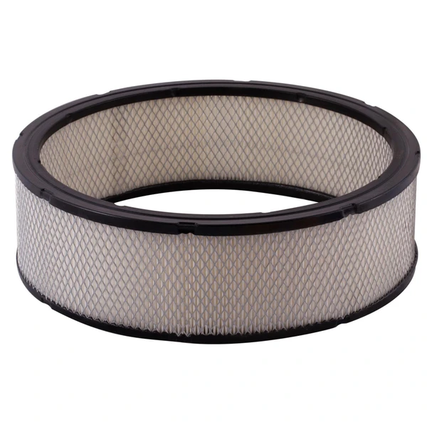 Premium Guard PA3181 Engine Air Filter
