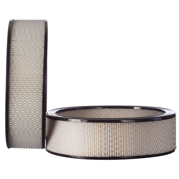 Premium Guard PA3181 Engine Air Filter