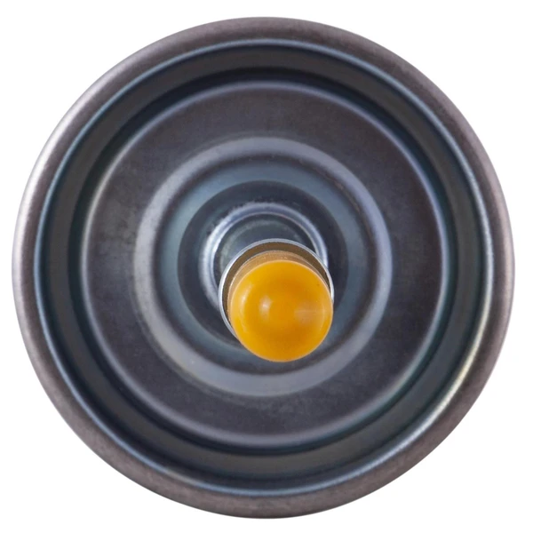 Premium Guard PF5487 Fuel Filter