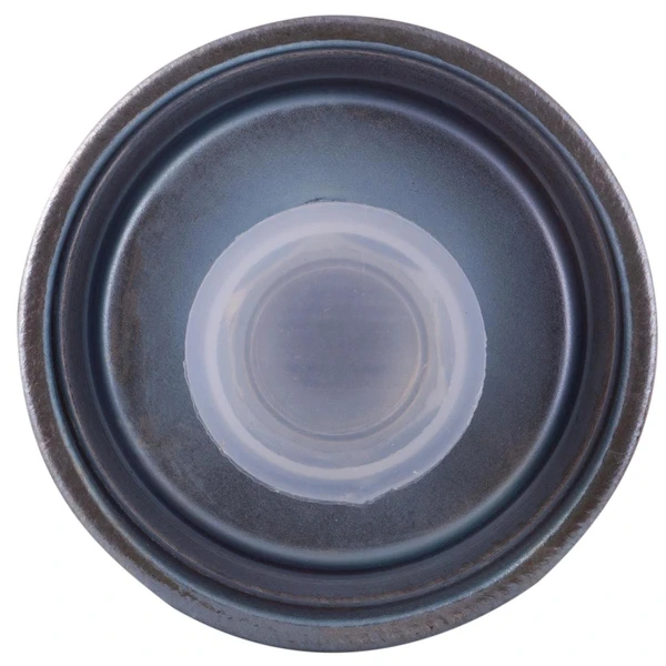 Premium Guard PF7315 Fuel Filter