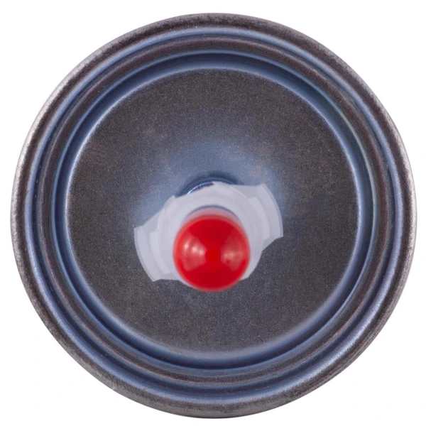 Premium Guard PF7333 Fuel Filter