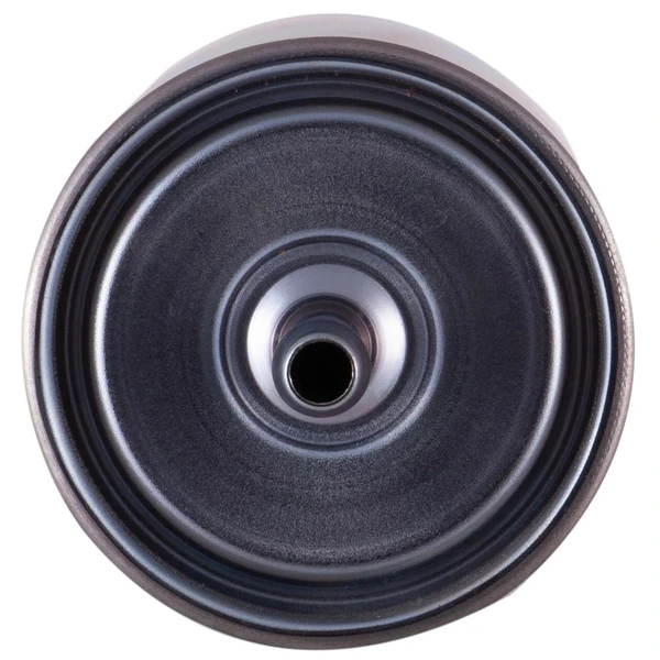 Premium Guard PF7393 Fuel Filter