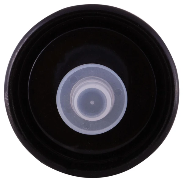 Premium Guard PF3141 Fuel Filter, In-Line