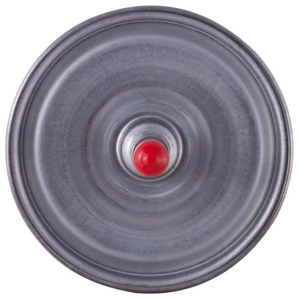 Premium Guard PF3802 Fuel Filter, In-Line