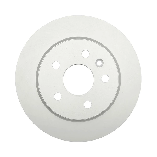 Raybestos 580769 Brake Rotor Rear