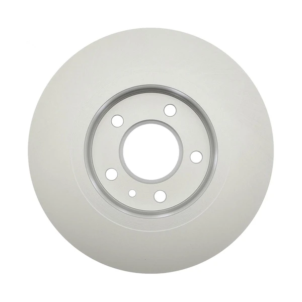 Raybestos 580900FZN Brake Rotor Rear